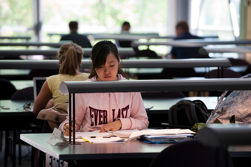Students studying in Law Library