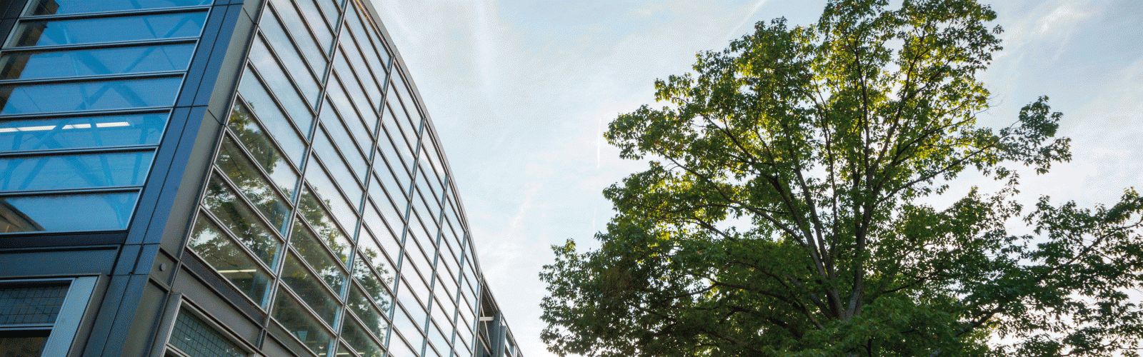 An external photo of the Law Library building, showing its arched roof, long glass windows, and metal exterior structure. A tree stands on the right, obscuring the sun.